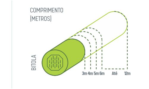 linha-rolico