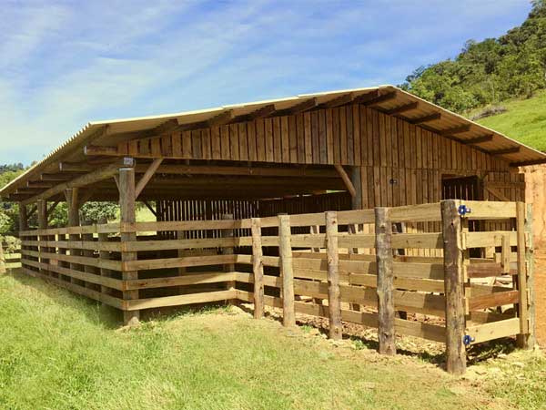 Galpão para Confinamento | Ecotrat - Tratamento de Madeiras