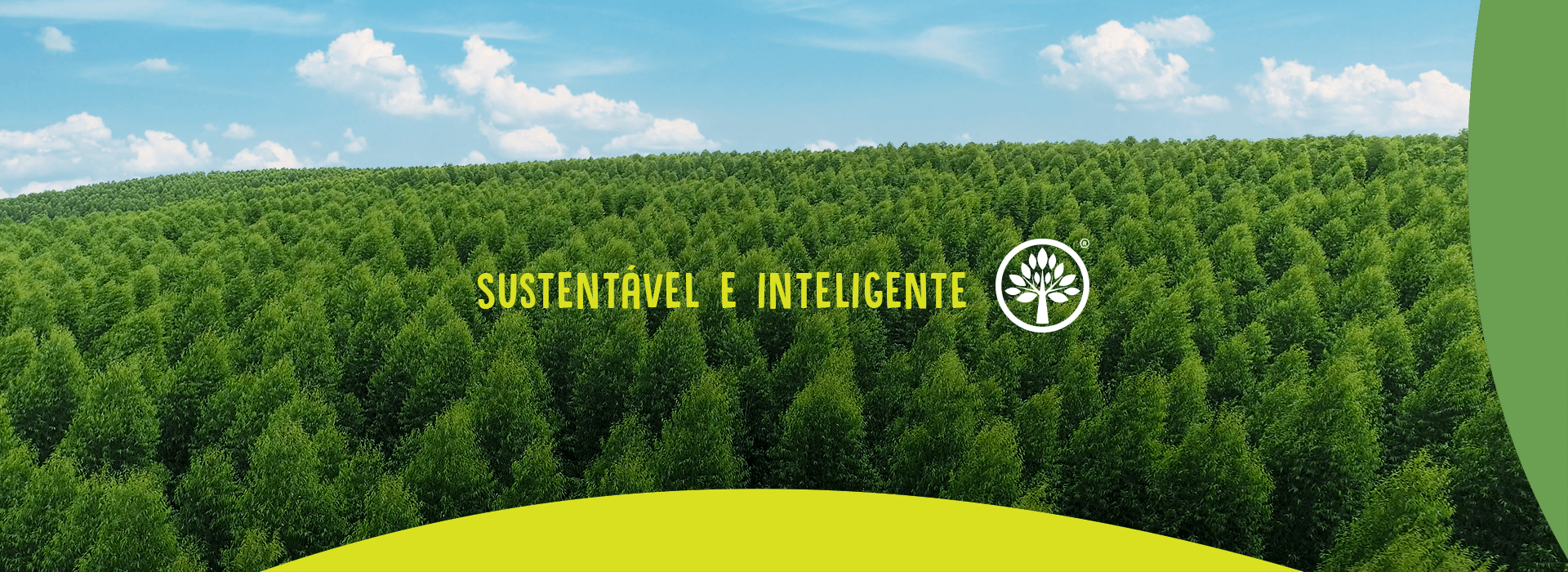 Sustentável e Inteligente