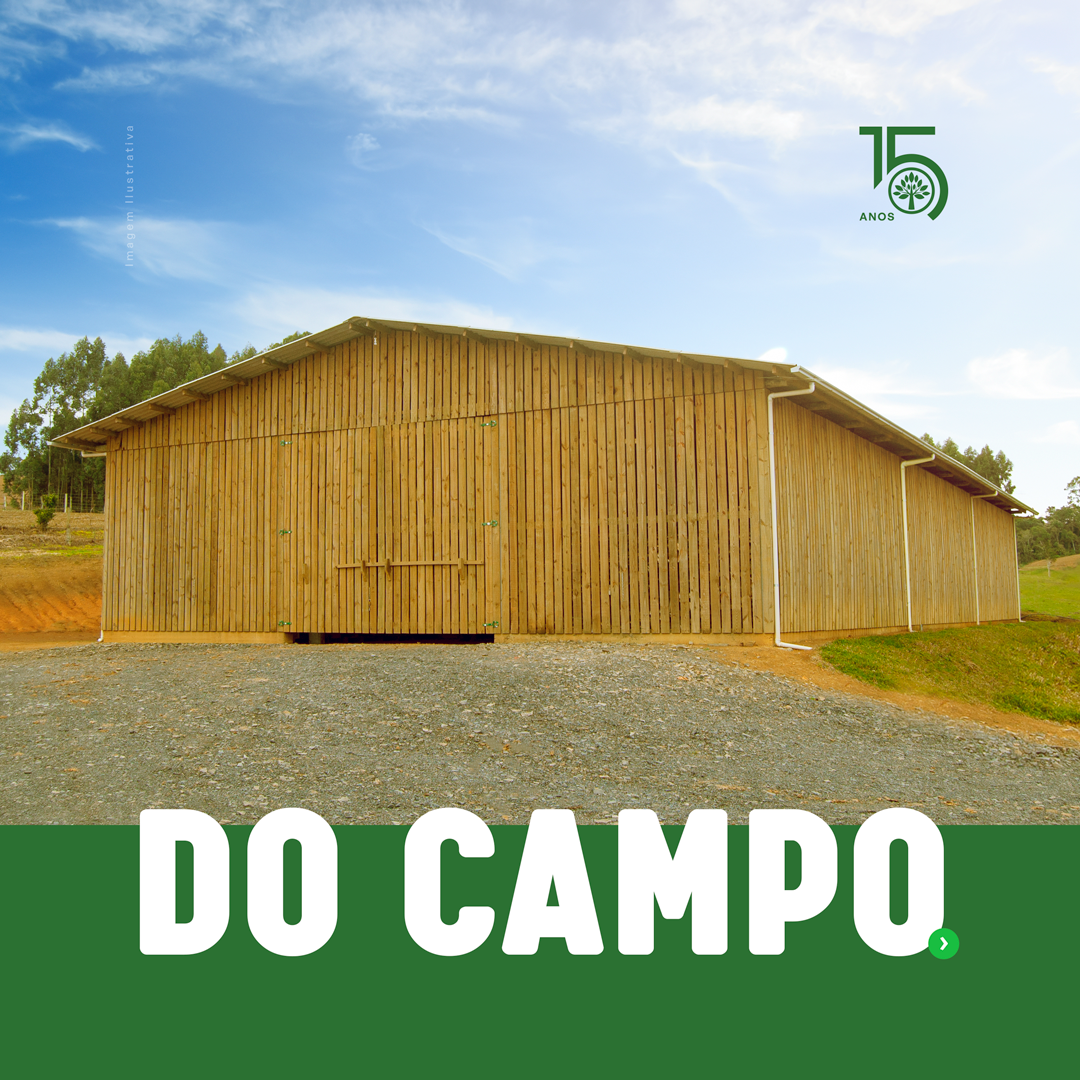 Do campo a cidade: Projetos completos