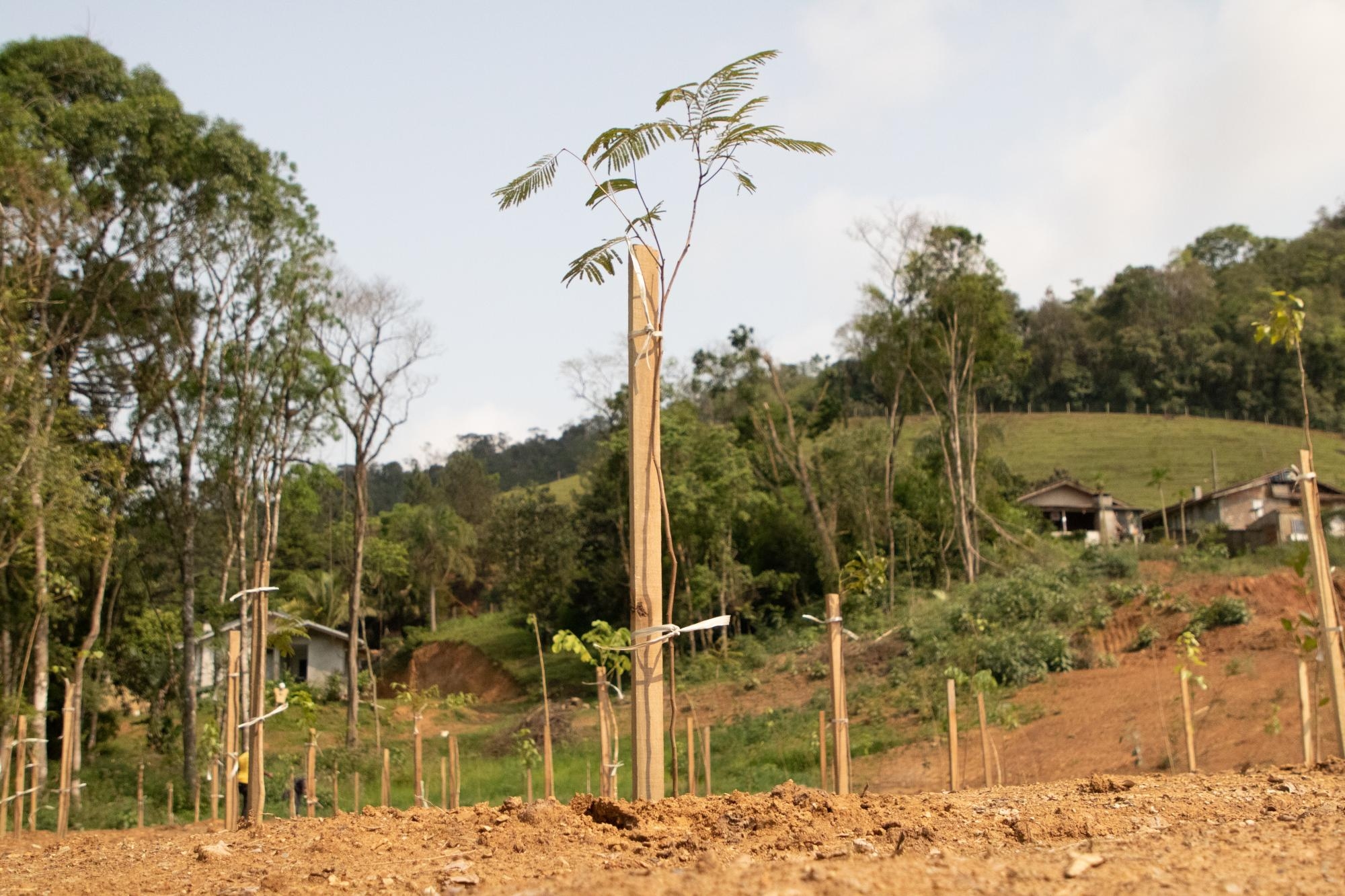 Ecotrat presente no projeto de arborização do Parque Salto Grande em Ituporanga