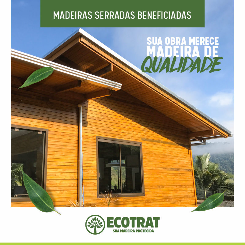 A sua casa vai ser de madeira? Ecosteel acredita que futuro passa por aqui  e compra participação na Ooty - SIC Notícias