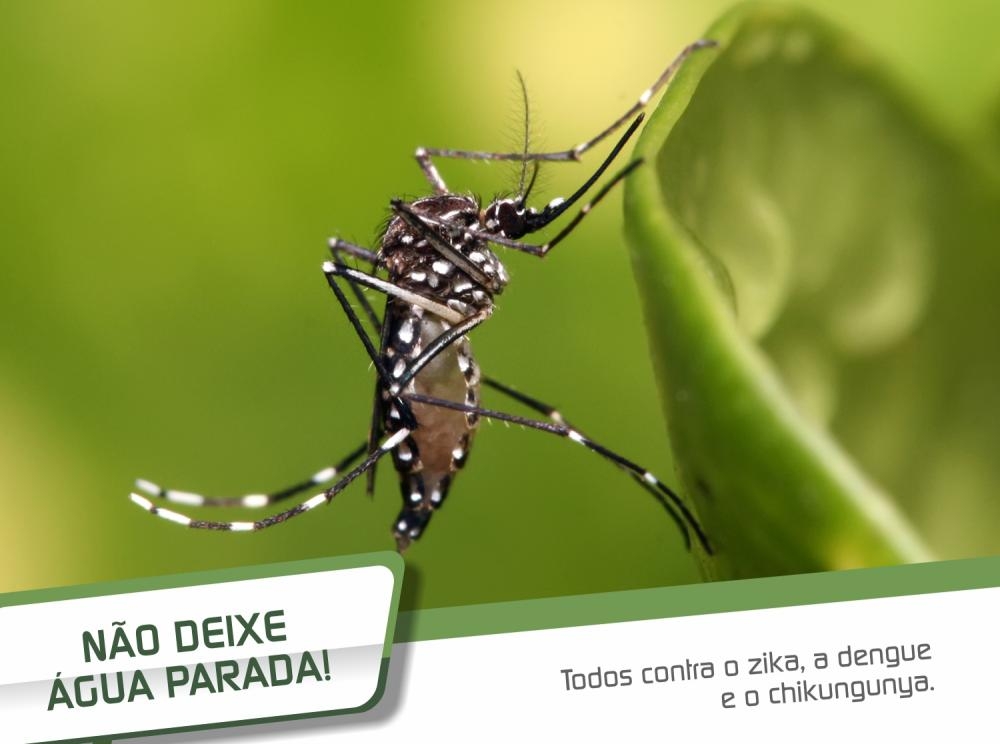 A Ecotrat está fazendo a sua parte na luta contra o Aedes aegypti.