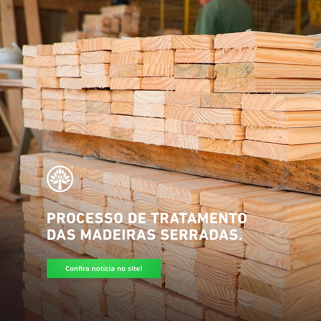 Você já conhece o processo de tratamento realizado nas madeiras Ecotrat?